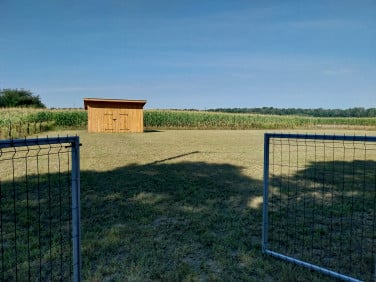 Działka budowlana Miedzna