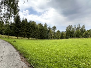 Działka Koniaków