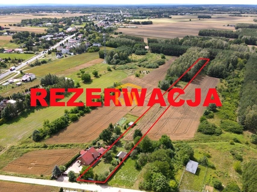 Działka Ślepowron
