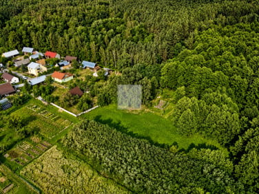 Dom Bukowina
