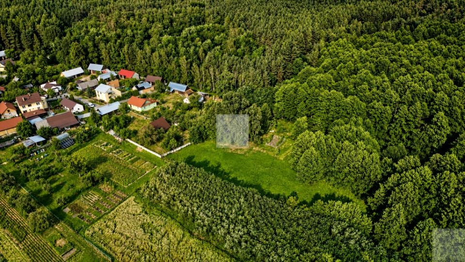 Dom Bukowina