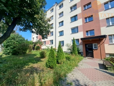 Mieszkanie JĘDRZEJÓW sprzedaż