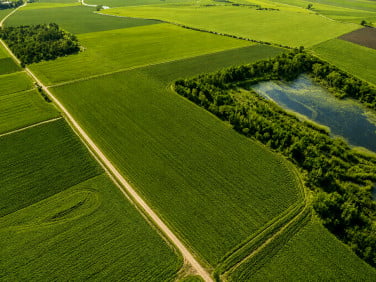 Działka Lenartowice