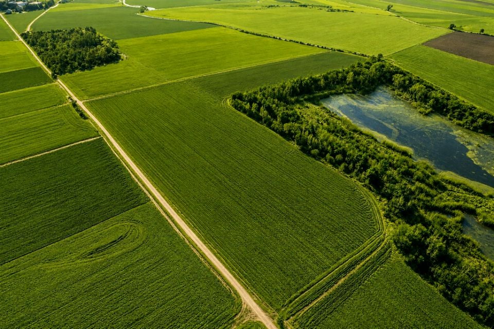 Działka Lenartowice