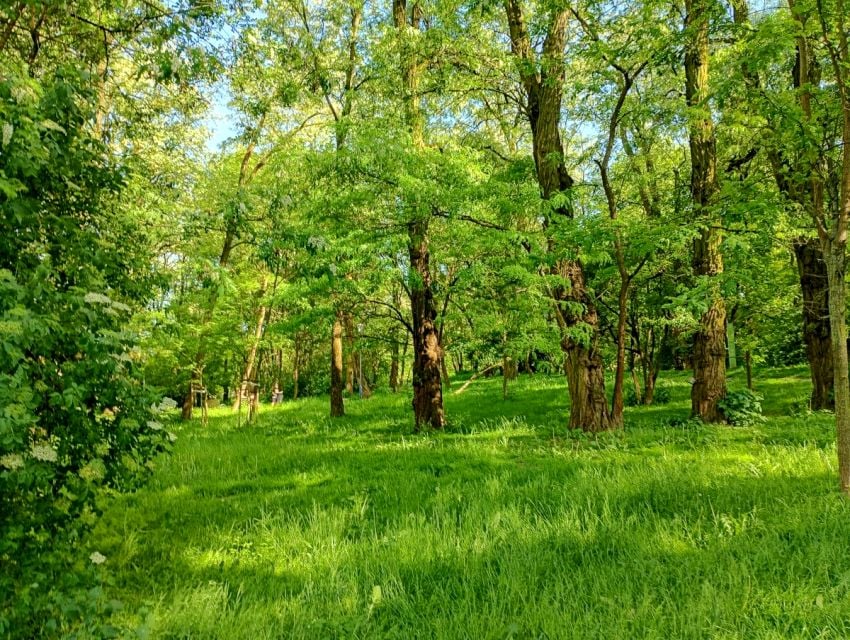Zdjęcie 3