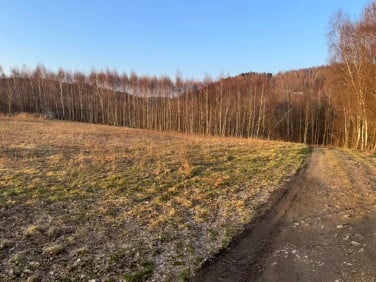 Działka budowlano-rolna Gwoźnica Górna sprzedam