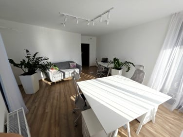 Lokal Kraków