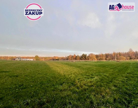 Zdjęcie 2