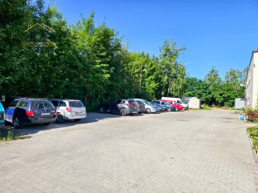 Lokal Olsztyn wynajem