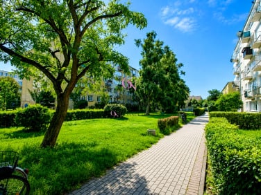 Mieszkanie Toruń