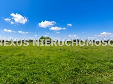 Działka Chechło