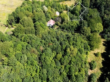 Dom Husów
