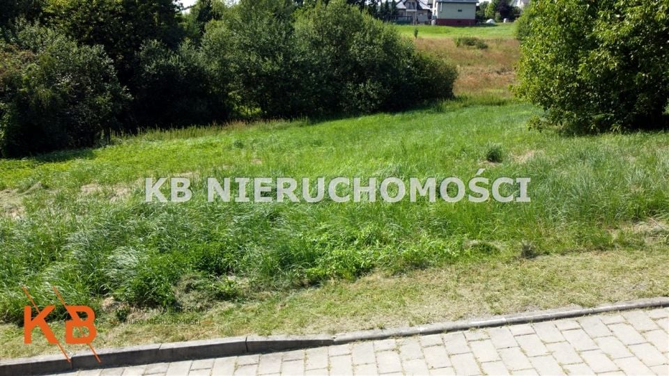 Zdjęcie 3
