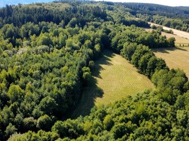Działka Długopole Dolne