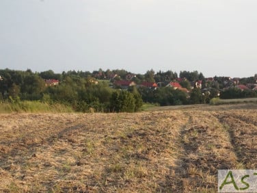 Działka rolna Wierzchowie