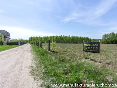 Działka budowlana Białowieża