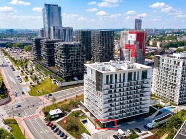 Lokal Katowice