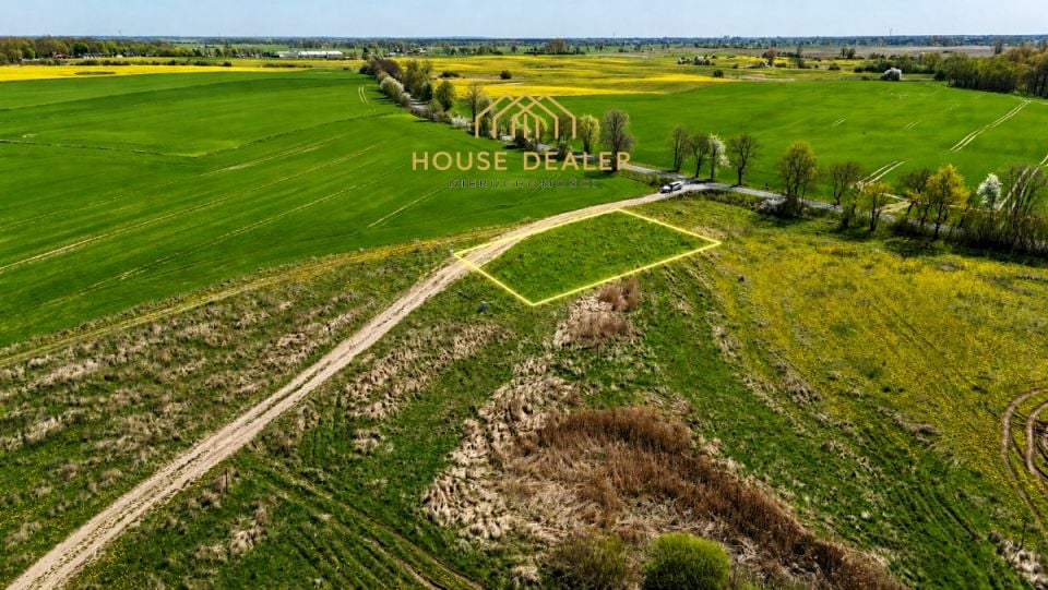 Zdjęcie 3