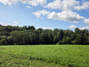 Działka Jankówka