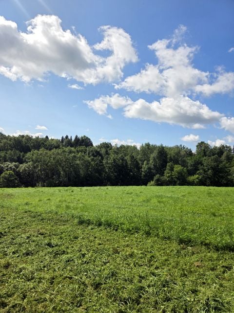 Działka Jankówka