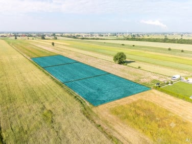 Działka Piotrków Trybunalski