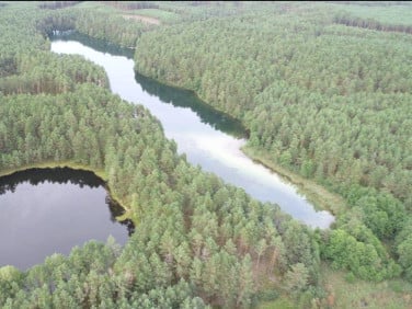 Działka leśna Prądzonka
