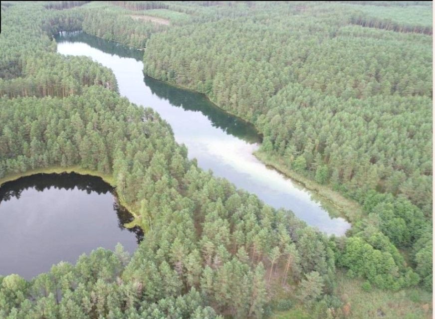 Działka leśna Prądzonka