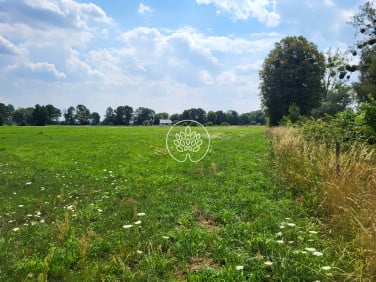 Działka budowlana Rojewice