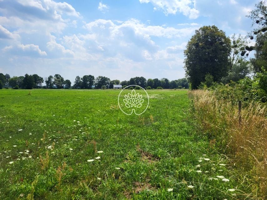 Działka budowlana Rojewice