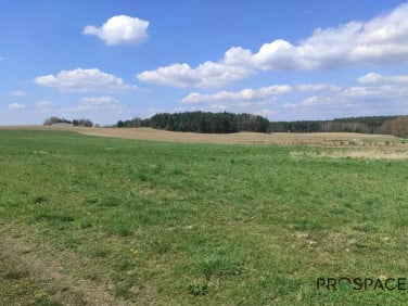 Działka budowlana Leśniów Wielki
