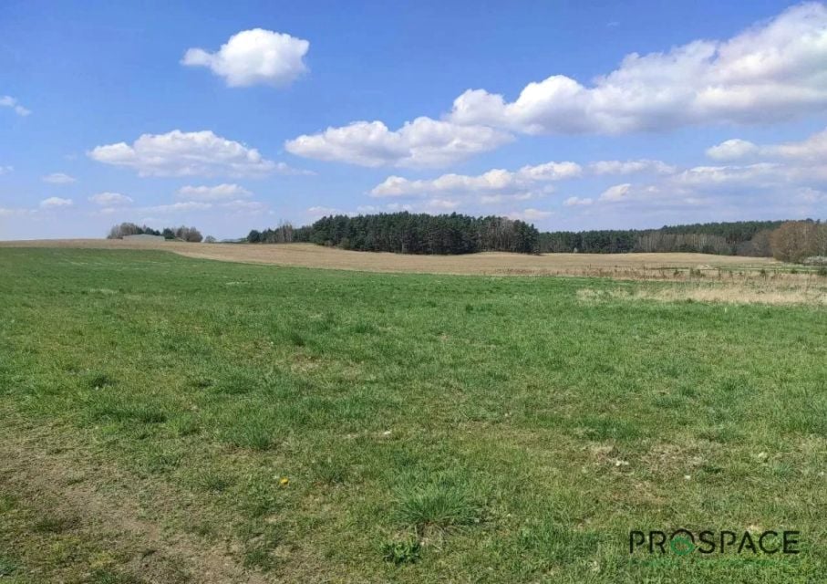 Działka budowlana Leśniów Wielki