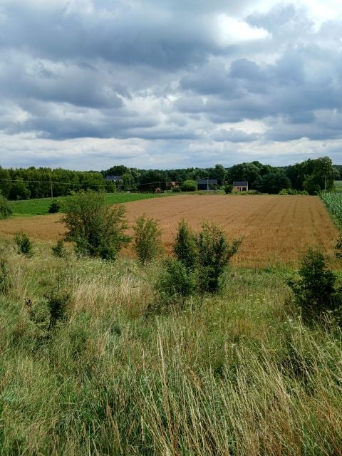 Działka budowlano-rolna Szumlin