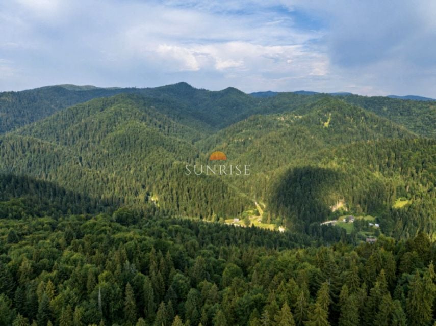 Działka leśna Szczawnica sprzedam
