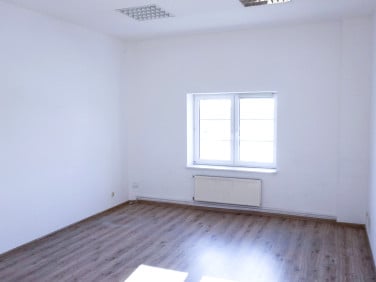 Lokal Szczecin
