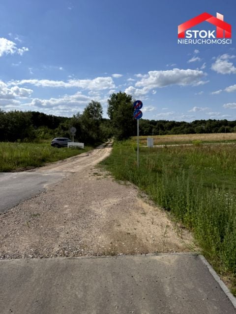 Zdjęcie 3