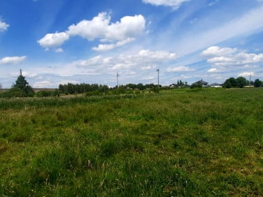 Działka rolna Wola Gołkowska