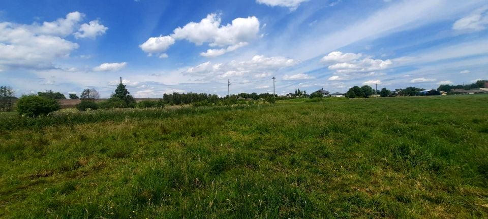 Działka rolna Wola Gołkowska