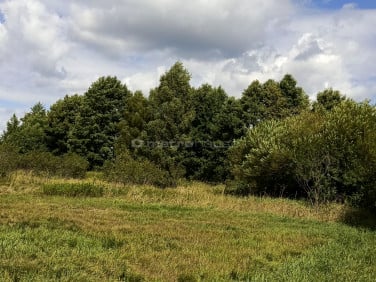 Działka rolna Skórzec