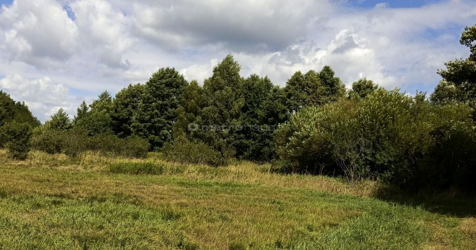 Działka rolna Skórzec