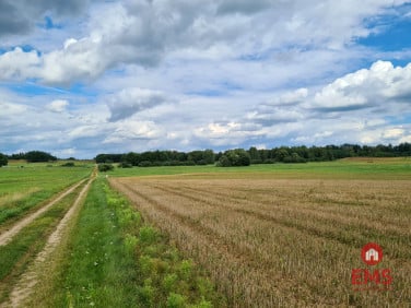 Działka siedliskowa Burczak