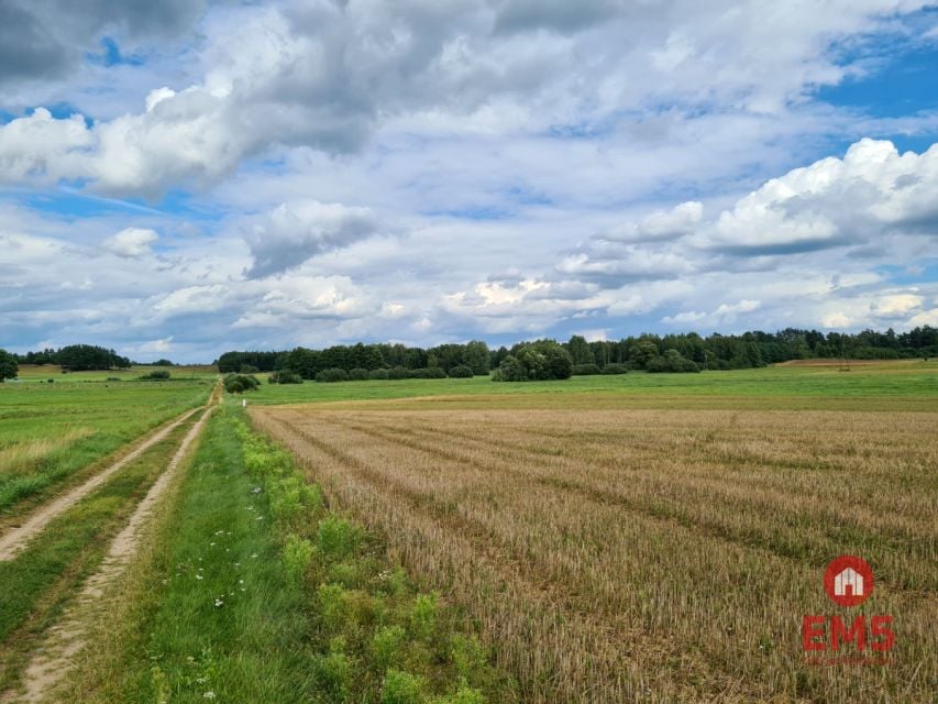 Działka siedliskowa Burczak