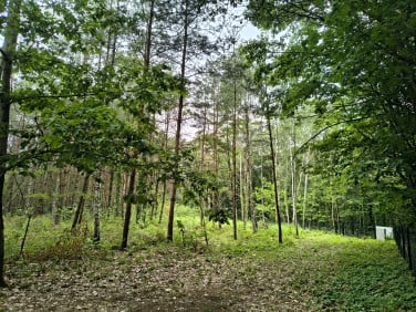 Działka budowlana Sokolniki-Las