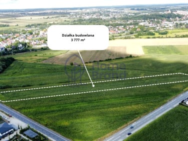 Działka inna Oleśnica