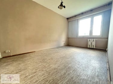 Mieszkanie Pabianice sprzedaż