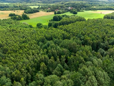 Działka siedliskowa Nowe Mieczysławy
