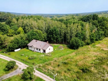 Dom Strobów