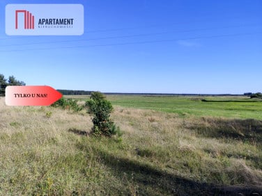 Działka rolna Brzezie