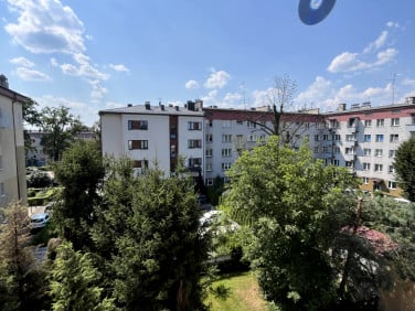 Mieszkanie Nowy Sącz wynajem