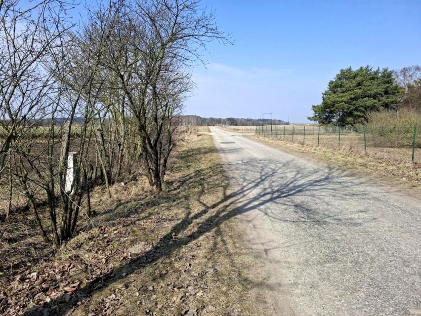 Zdjęcie 2