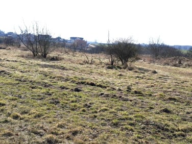 Działka Rumianek